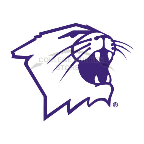 Personal Northwestern Wildcats Iron-on Transfers (Wall Stickers)NO.5705